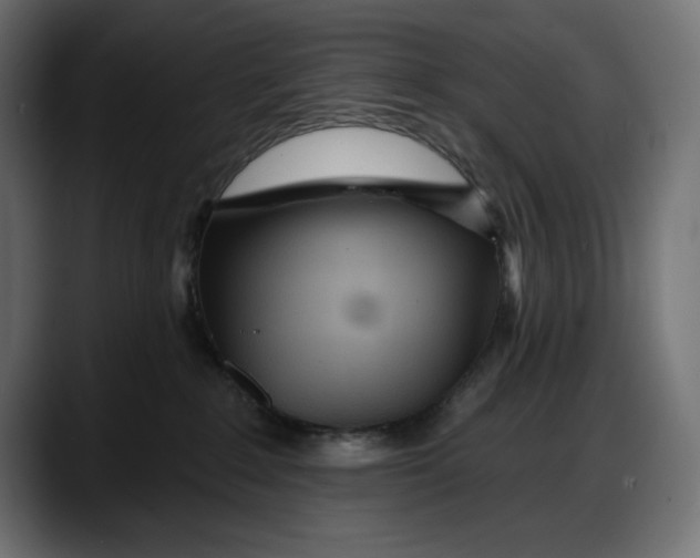 X0000087740235200705291019