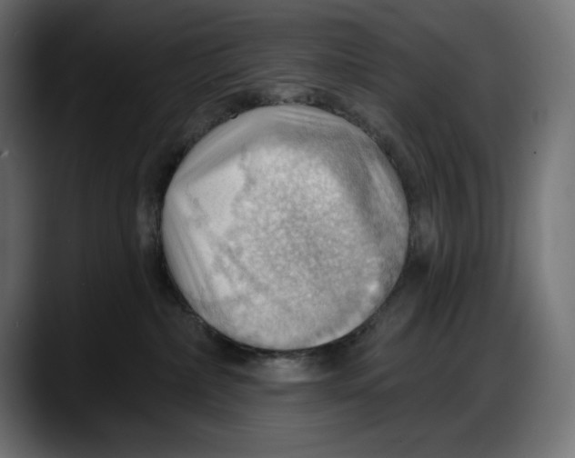 X0000087740236200705291019
