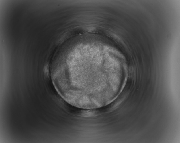 X0000087740238200705291019