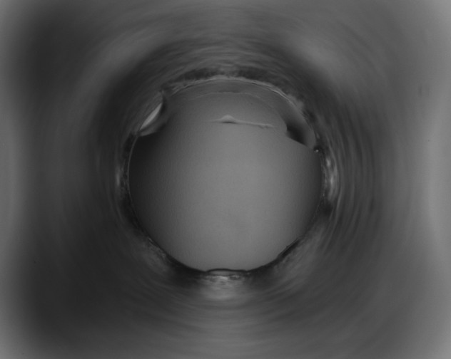 X0000087740239200705291019