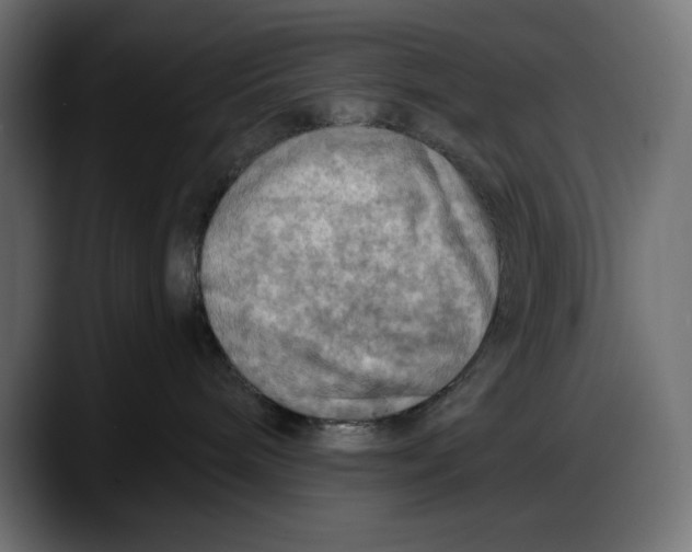 X0000087740240200705291019
