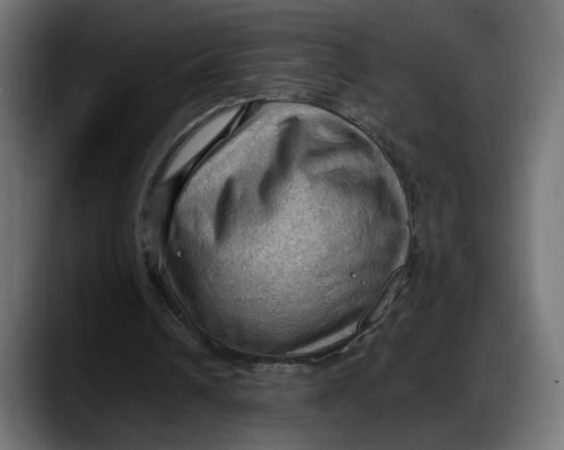 X0000087740242200705291019