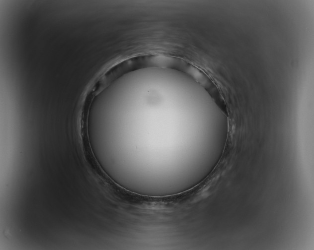 X0000087740244200705291019