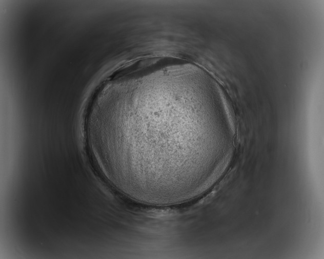 X0000087740245200705291019