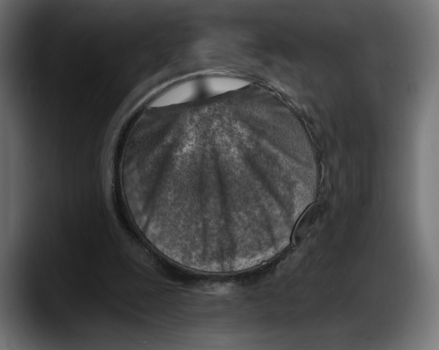 X0000087740247200705291019
