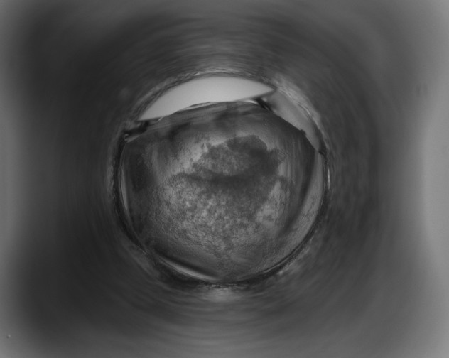 X0000087740249200705291019