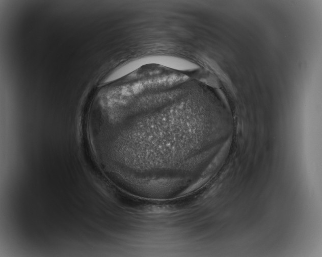 X0000087740250200705291019