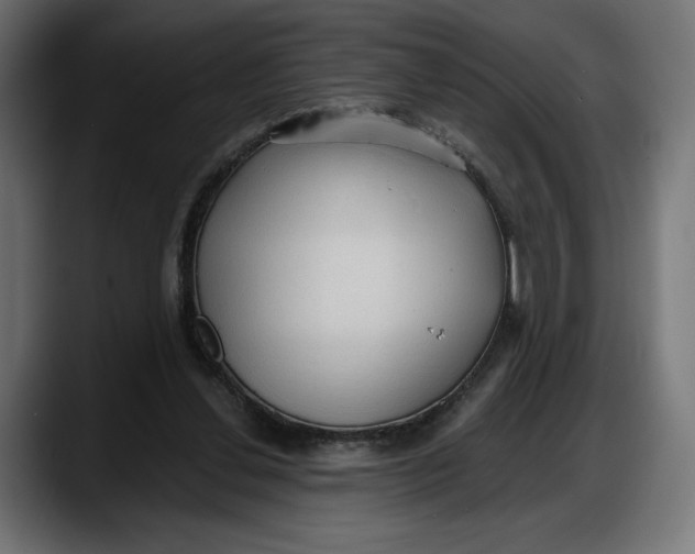 X0000087740252200705291019