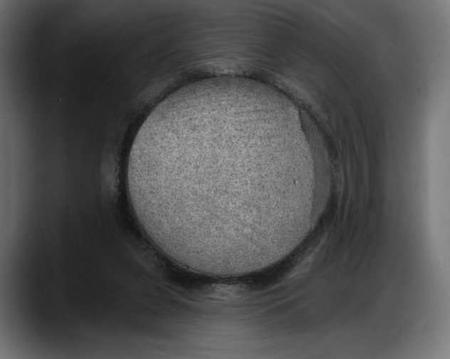 X0000087740255200705291019