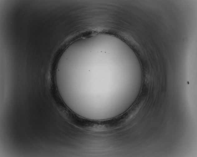 X0000087740256200705291019