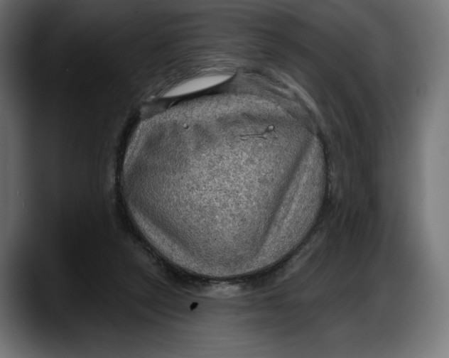 X0000087740257200705291019