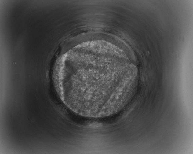 X0000087740258200705291019