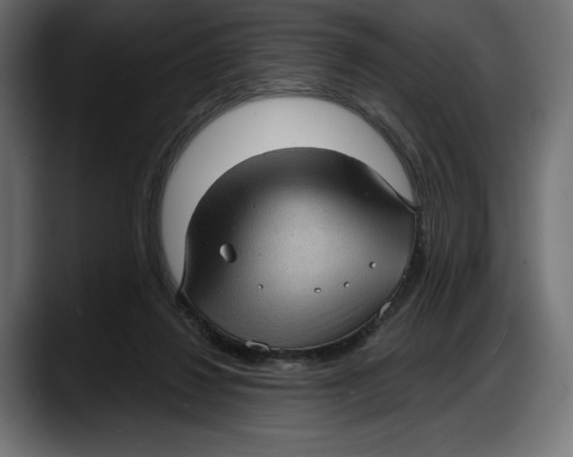 X0000087740260200705291019