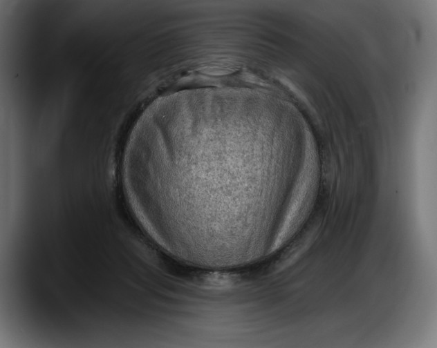 X0000087740261200705291019
