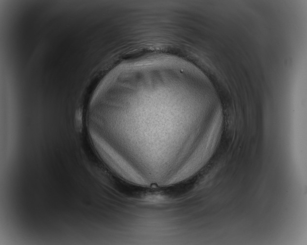 X0000087740262200705291019