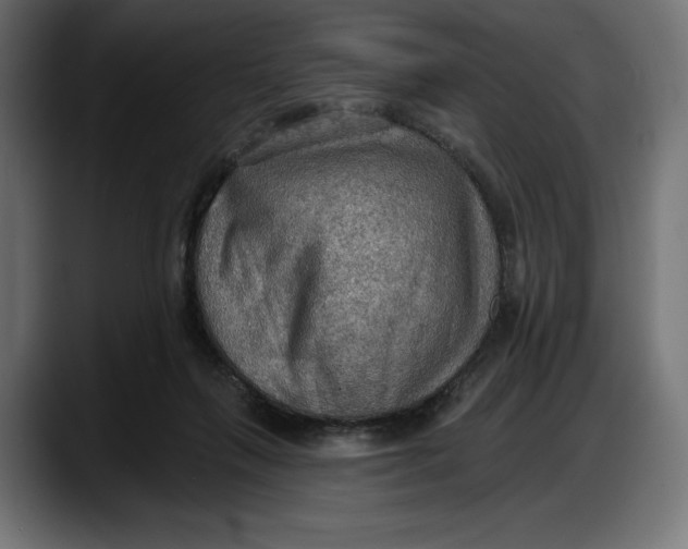 X0000087740263200705291019