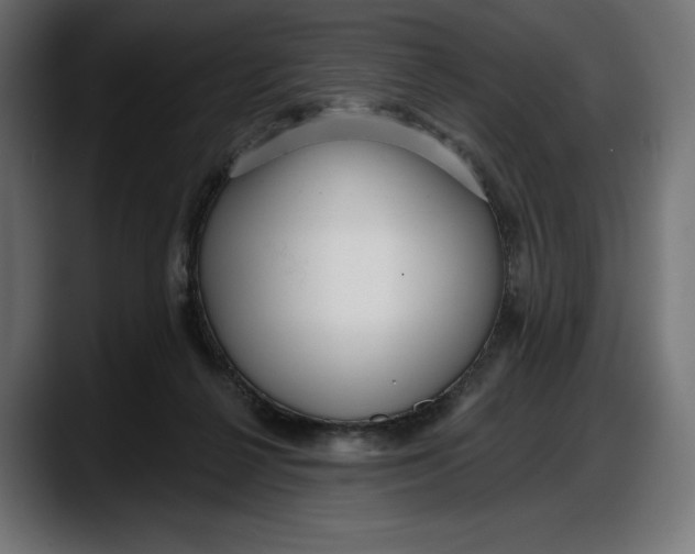 X0000087740264200705291019
