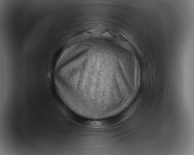 X0000087740265200705291019