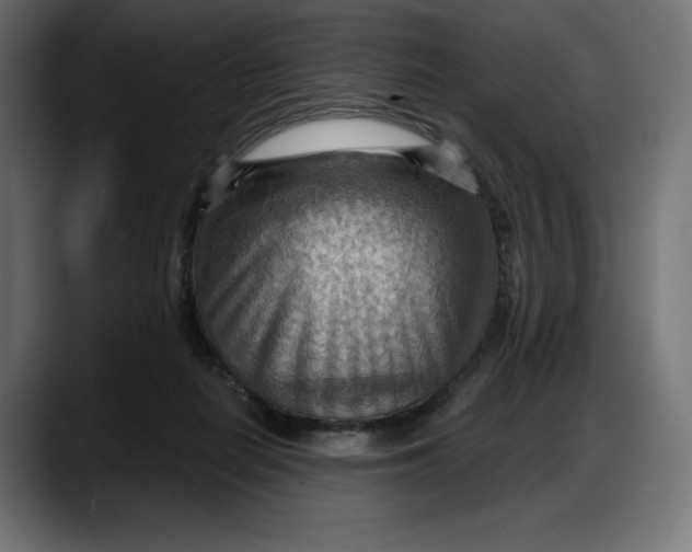 X0000087740266200705291019
