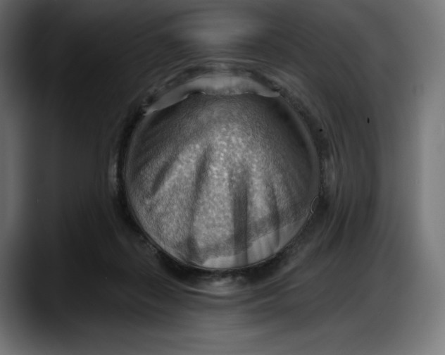 X0000087740267200705291019