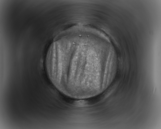 X0000087740269200705291019