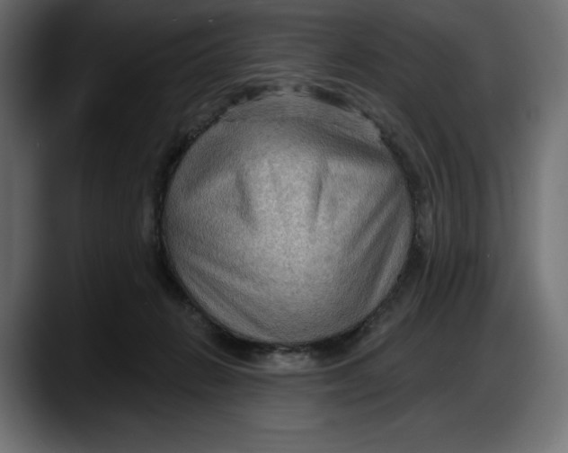 X0000087740270200705291019