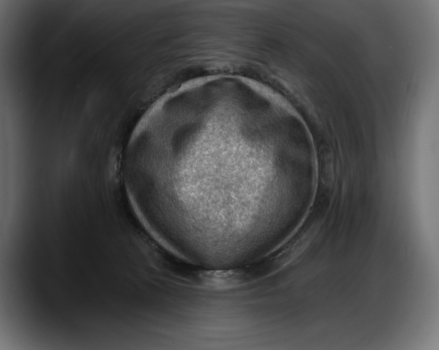 X0000087740273200705291019