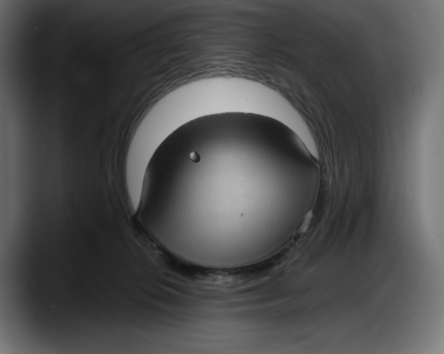 X0000087740276200705291019