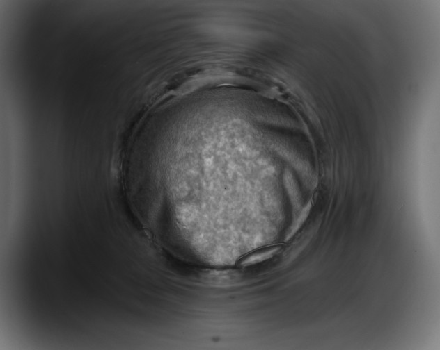 X0000087740277200705291019