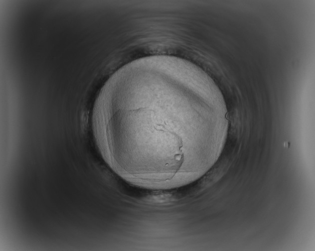 X0000087740278200705291019