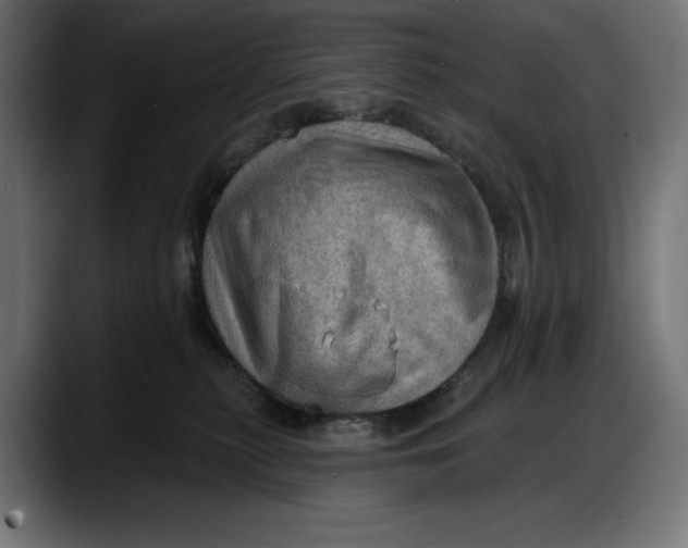 X0000087740279200705291019