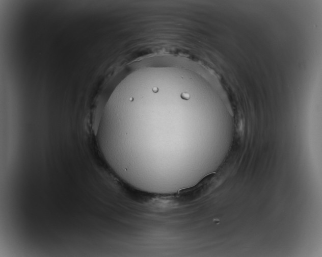 X0000087740280200705291019