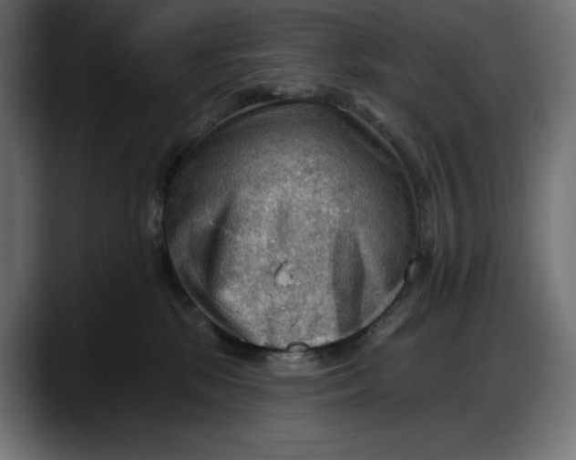 X0000087740281200705291019