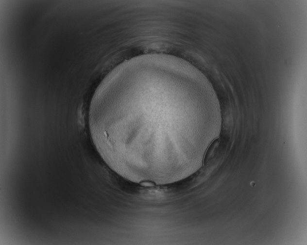 X0000087740282200705291019