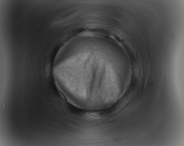 X0000087740283200705291019
