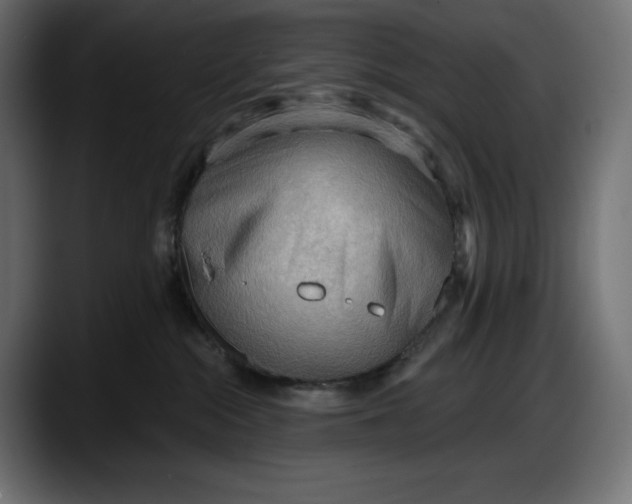 X0000087740284200705291019