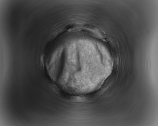 X0000087740286200705291019