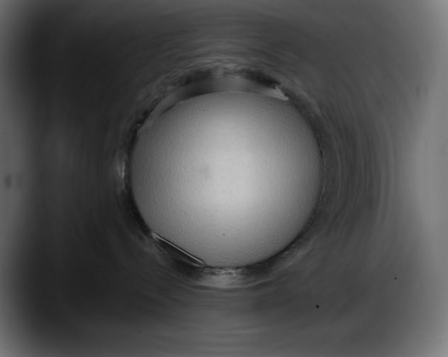 X0000087740288200705291019