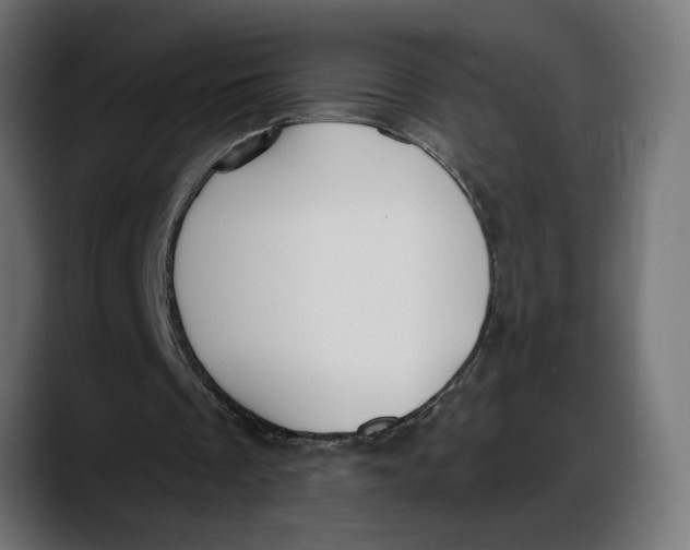 X0000087740289200705291018