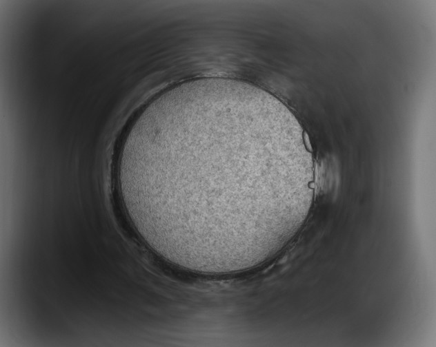 X0000087740291200705291018