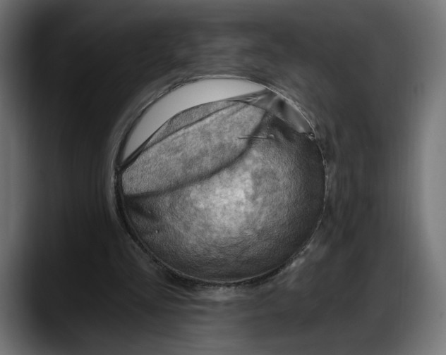 X0000087740293200705291018