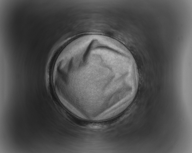 X0000087740294200705291018