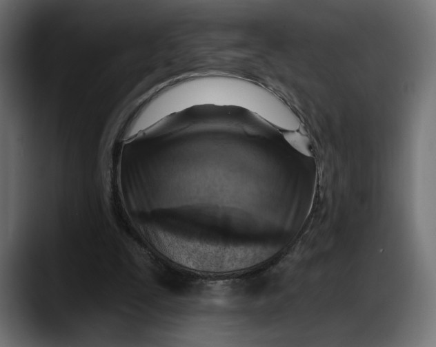 X0000087740295200705291018