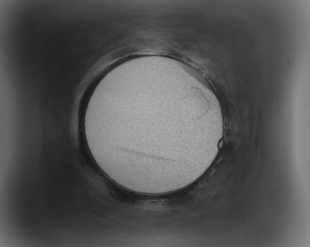 X0000087740296200705291018
