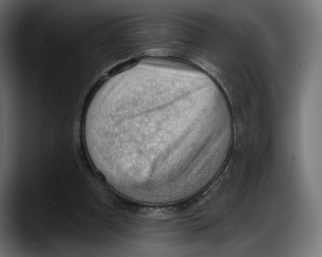 X0000087740297200705291018