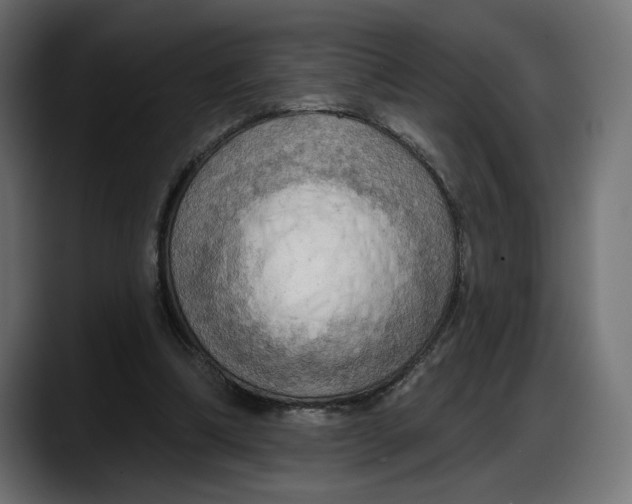 X0000087740298200705291018