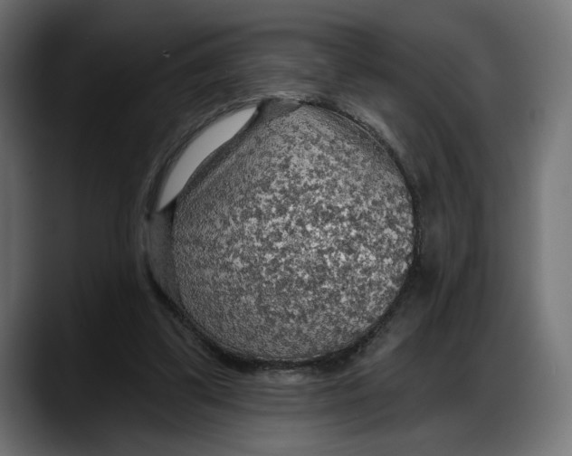X0000087740299200705291018