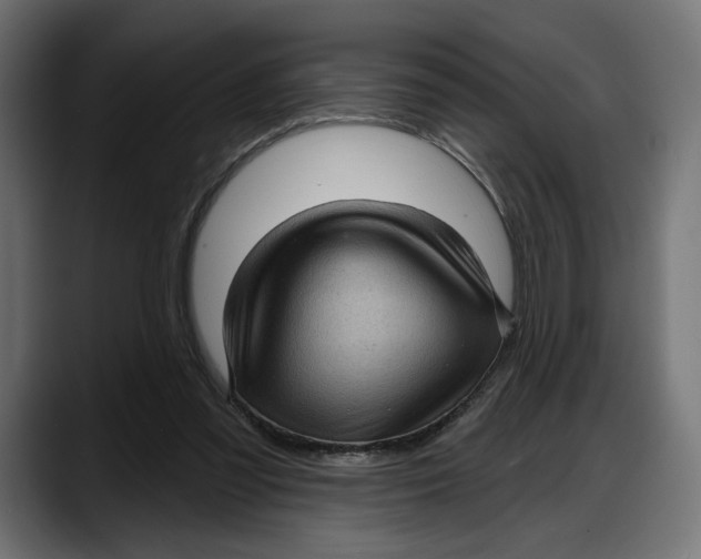 X0000087740301200705291018