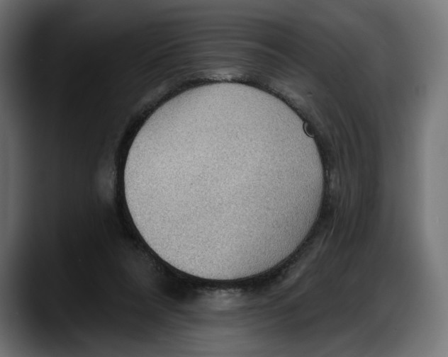 X0000087740304200705291018