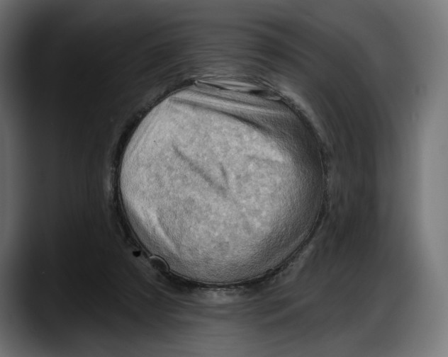 X0000087740305200705291018